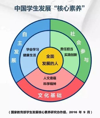 学习能力方面表现